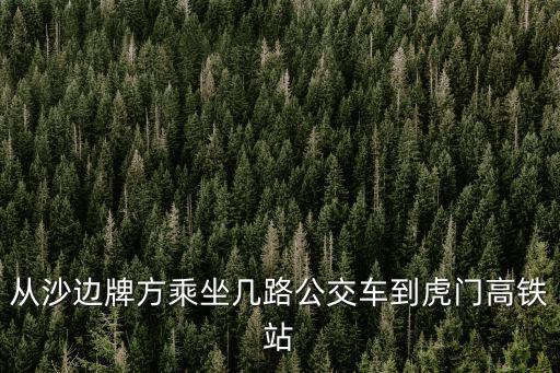 從沙邊牌方乘坐幾路公交車到虎門高鐵站