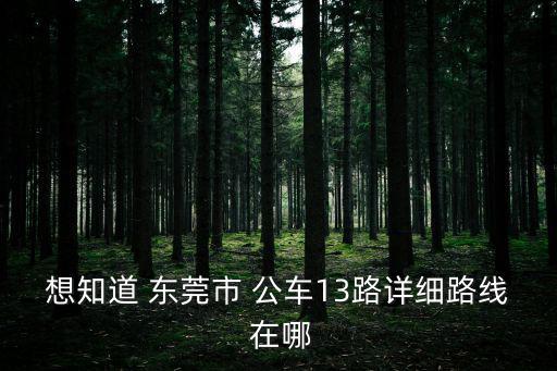 想知道 東莞市 公車13路詳細(xì)路線 在哪