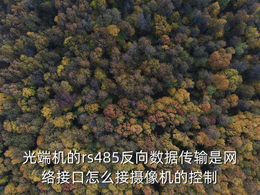 485怎么接網(wǎng)絡(luò)攝像機(jī)，球型攝像頭怎么接線485和485 的控制線要放到主機(jī)嗎