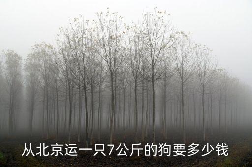 北京的寵物托運多少錢，從北京運一只7公斤的狗要多少錢