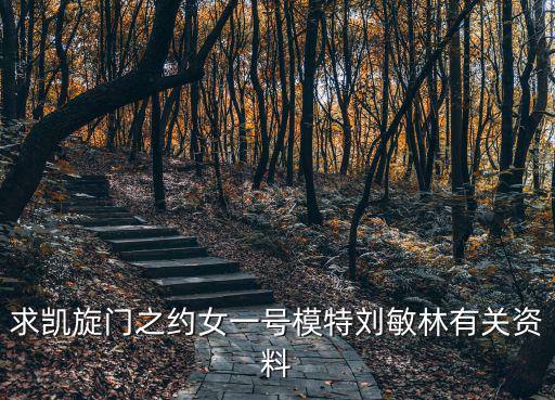 求凱旋門之約女一號模特劉敏林有關資料