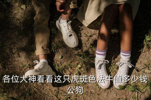 虎斑色法斗多少錢，請問我這只法牛虎斑大概值多少錢呢