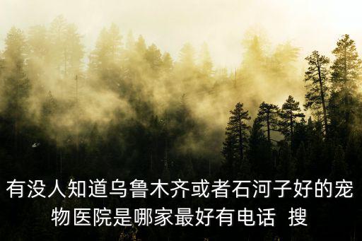 有沒(méi)人知道烏魯木齊或者石河子好的寵物醫(yī)院是哪家最好有電話  搜