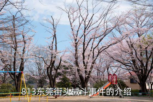 813東莞街頭械斗事件的介紹