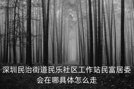 深圳民治街道民樂社區工作站民富居委會在哪具體怎么走