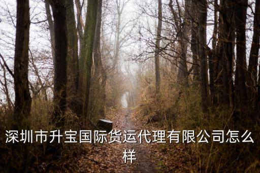 深圳市升寶國際貨運代理有限公司怎么樣