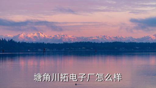 塘角川拓電子廠怎么樣