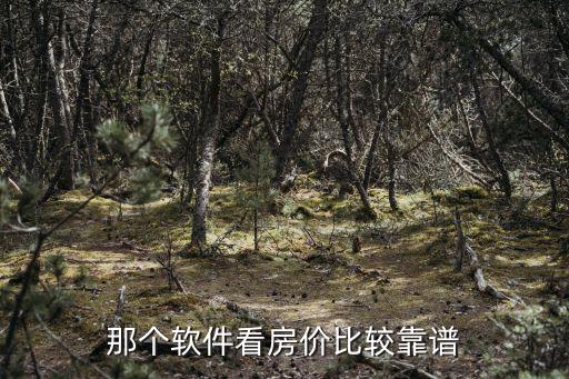 用哪個軟件能看到房價信息，看房子的軟件哪個最好