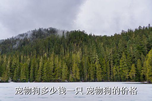 寵物狗多少錢一只 寵物狗的價(jià)格
