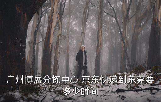 廣州博展分揀中心 京東快遞到東莞要多少時間