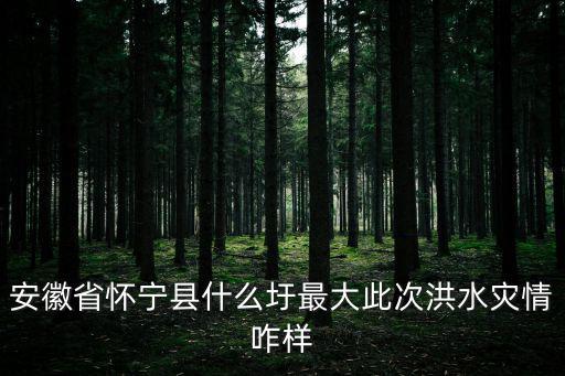 安徽省懷寧縣什么圩最大此次洪水災情咋樣