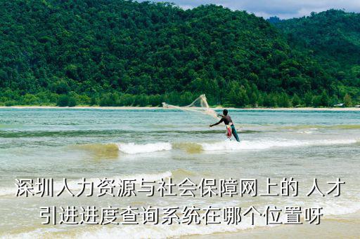 深圳人力資源與社會保障網(wǎng)上的 人才引進進度查詢系統(tǒng)在哪個位置呀