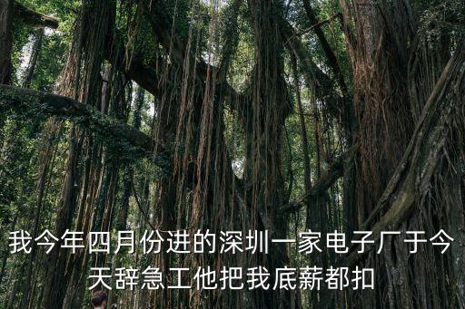 我今年四月份進的深圳一家電子廠于今天辭急工他把我底薪都扣