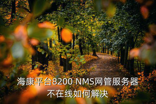 ?？灯脚_8200 NMS網管服務器不在線如何解決