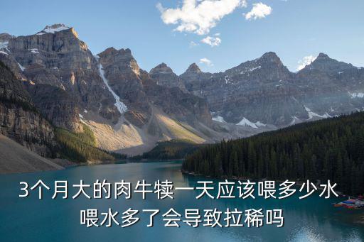3個月大的肉牛犢一天應該喂多少水 喂水多了會導致拉稀嗎