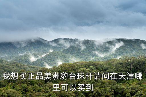 我想買(mǎi)正品美洲豹臺(tái)球桿請(qǐng)問(wèn)在天津哪里可以買(mǎi)到