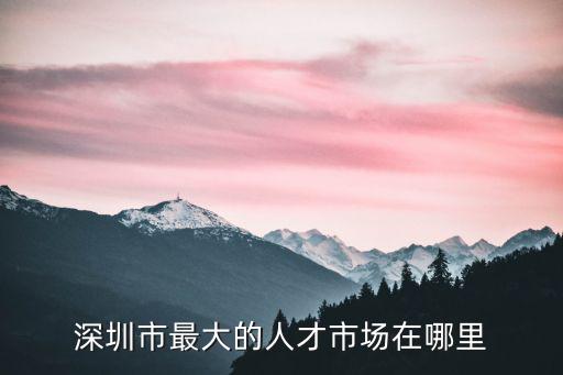 深圳市最大的人才市場在哪里