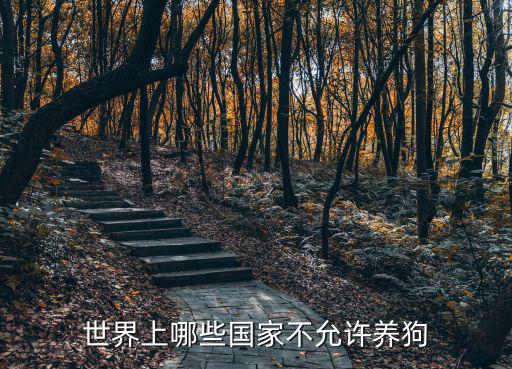 世界上哪些國家不允許養(yǎng)狗