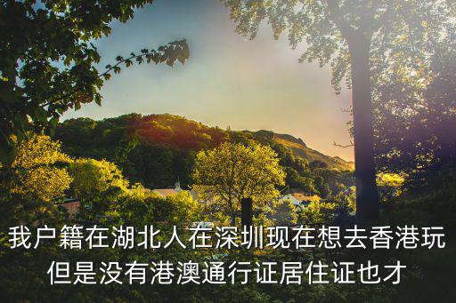 我戶籍在湖北人在深圳現在想去香港玩但是沒有港澳通行證居住證也才