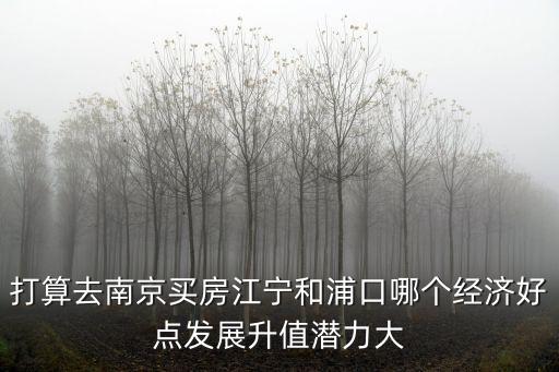 打算去南京買房江寧和浦口哪個經(jīng)濟(jì)好點發(fā)展升值潛力大