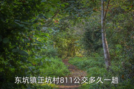 東坑鎮(zhèn)正坑村811公交多久一趟