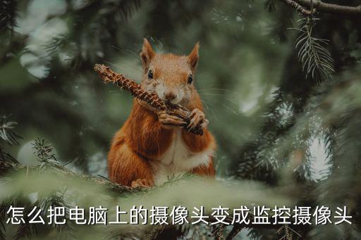 怎么把電腦上的攝像頭變成監控攝像頭