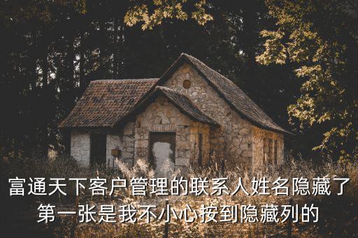 富通天下客戶管理的聯系人姓名隱藏了第一張是我不小心按到隱藏列的