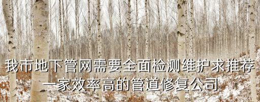 我市地下管網需要全面檢測維護求推薦一家效率高的管道修復公司