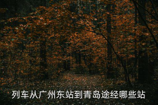 廣州到青島高鐵共幾站，列車從廣州東站到青島途經哪些站