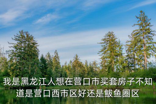 我是黑龍江人想在營口市買套房子不知道是營口西市區(qū)好還是鲅魚圈區(qū)