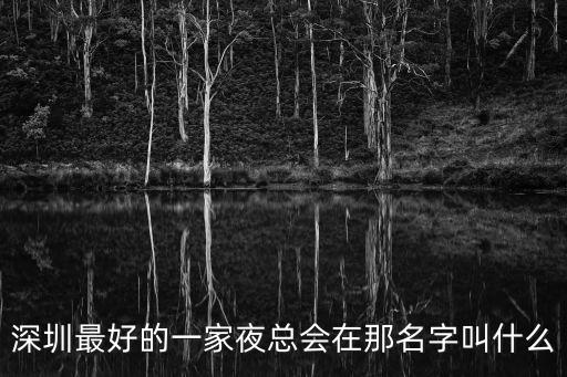深圳最好的一家夜總會(huì)在那名字叫什么