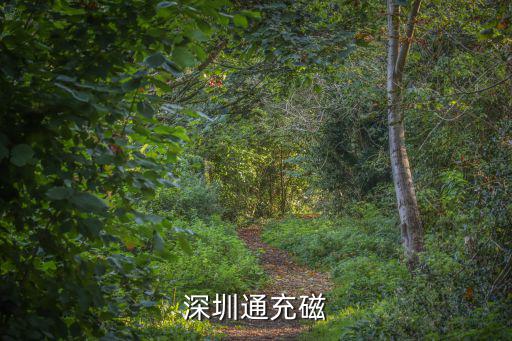 深圳通充磁