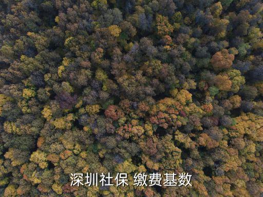 深圳社保 繳費(fèi)基數(shù)