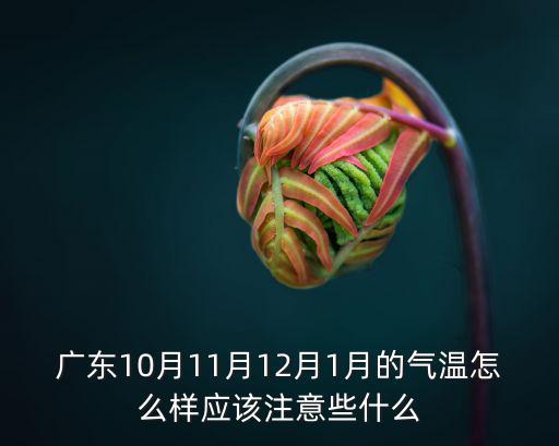 廣東10月11月12月1月的氣溫怎么樣應該注意些什么