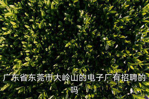 廣東省東莞市大嶺山的電子廠有招聘的嗎