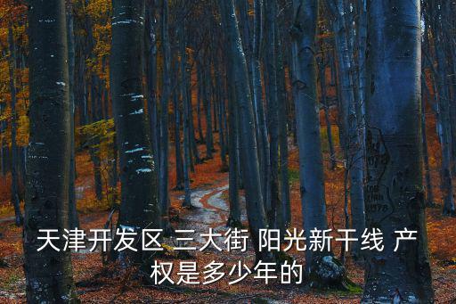 天津市開發區翠亨村產權年限，天津開發區 三大街 陽光新干線 產權是多少年的