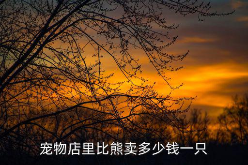 寵物店比熊多少錢，寵物店里比熊賣多少錢一只