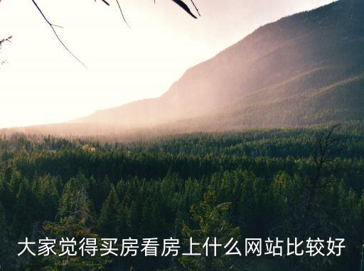 大家覺(jué)得買(mǎi)房看房上什么網(wǎng)站比較好