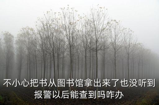 不小心把書從圖書館拿出來了也沒聽到報警以后能查到嗎咋辦