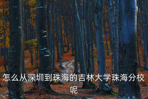 深圳到吉珠怎么去，從深圳龍崗區(qū)到珠海金灣區(qū)吉林大學(xué)珠海學(xué)院最快的方式麻煩順便告