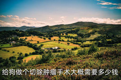 給狗做個(gè)切除腫瘤手術(shù)大概需要多少錢