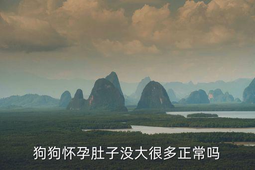 狗狗懷孕長多少斤正常，狗狗懷孕肚子沒大很多正常嗎
