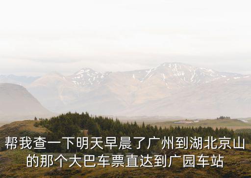 幫我查一下明天早晨了廣州到湖北京山的那個大巴車票直達到廣園車站