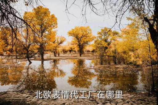 北歐表情代工廠在哪里