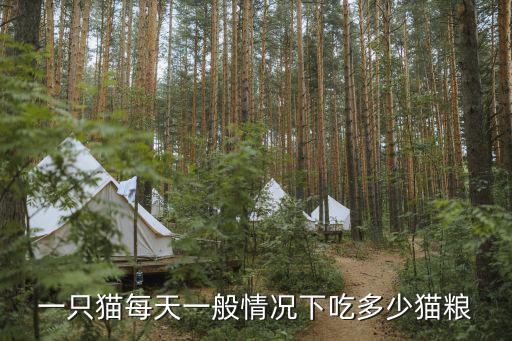 貓營養(yǎng)高吃多少合適，成貓一天大概吃多少貓糧