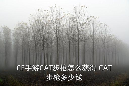 小貓刷多少錢，求晴天小貓刷魚骨金幣秘籍