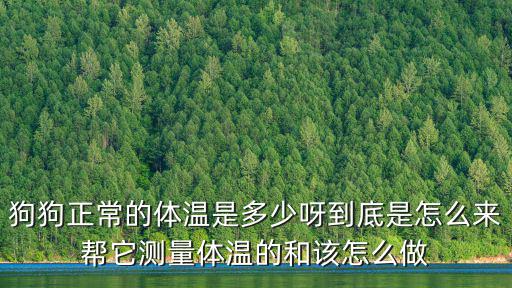 狗狗正常的體溫是多少呀到底是怎么來幫它測量體溫的和該怎么做