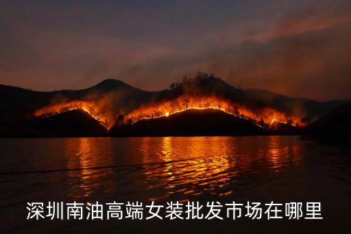 深圳南油高端女裝批發市場在哪里