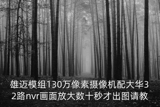 雄邁模組130萬像素攝像機配大華32路nvr畫面放大數十秒才出圖請教