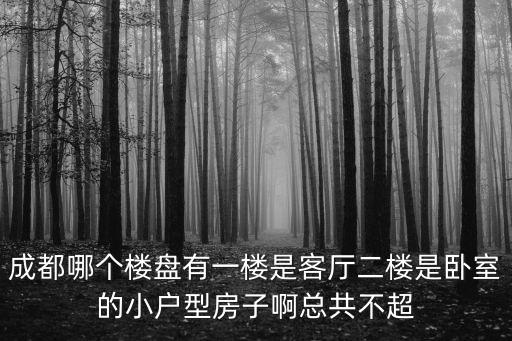 成都哪個樓盤有一樓是客廳二樓是臥室的小戶型房子啊總共不超